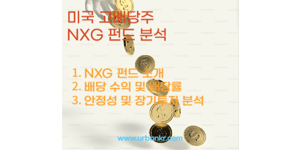 NXG 분석